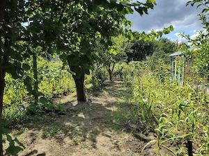 Casă de vânzare Comuna Limanu, județul Constanța  - imagine 3