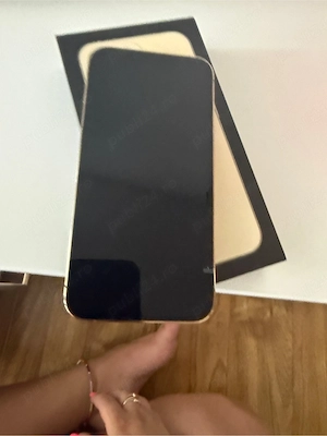 iphone 13 pro ca nou.