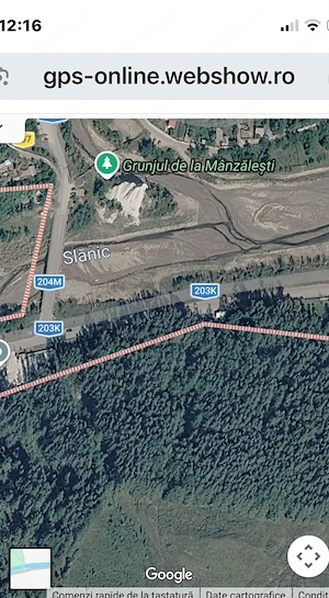 Vand teren cu vegetatie forestiera Manzalesti Grunj - imagine 7