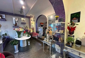 Urgent   florărie de vânzare   sector 1 bucurești   afacere la cheie