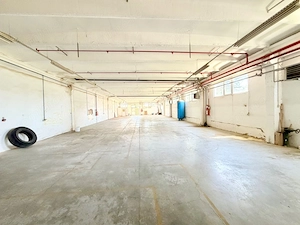 Hală industriala, 600 mp, Sannicolaul Mic, aproape de autostradă și centură - imagine 7