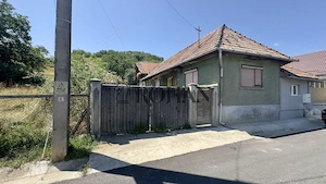 Casă + Anexă Cricău | 2.015 mp teren - imagine 2