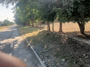 Vând loc de casă 1100 mp - imagine 6