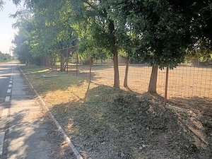 Vând loc de casă 1100 mp - imagine 5