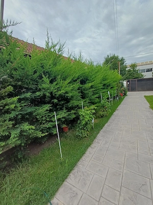 De vânzare   Casă cu etaj în orașul Zimnicea - imagine 4