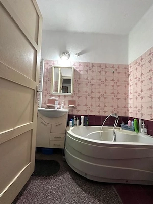 Casa veche cu teren generos de 1.500mp si front stradal de 27ml Ciarda-Timisoara - imagine 5