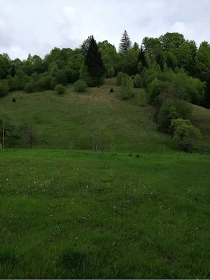 Teren Podul Dambovitei,Lunca Cheii , Arges  - imagine 2