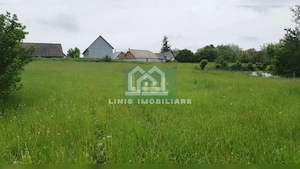 COMISION 0% Casa batraneasca cu 2000mp teren, front stradal 32ml - imagine 4