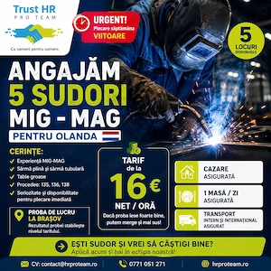 Sudor MIG-MAG (135 136 138)   Olanda | de la 16   NET oră