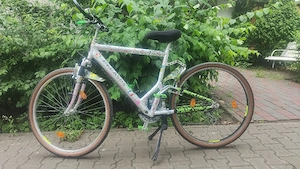 Bicicleta Pegasus 
