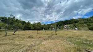 Vând 5.200 mp intravilan în Tranișu   ideal cabană sau casă de vacanță - 17euro mp - negociabil
