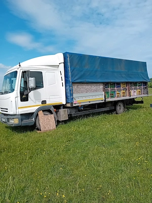 Vand iveco eorocargo - imagine 3