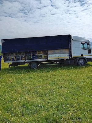 Vand iveco eorocargo - imagine 4