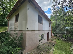 Casă de vânzare, 100 mp, teren 10.000 mp, zona Almașu Mare  - imagine 11