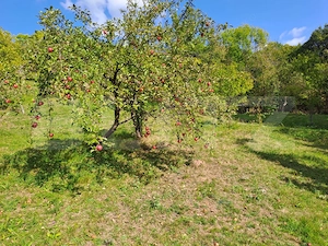Casă de vânzare, 100 mp, teren 10.000 mp, zona Almașu Mare  - imagine 14