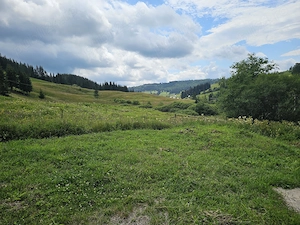 Casă si teren de vanzare in Bucovina Breaza zona Pârâul Negrei - imagine 4