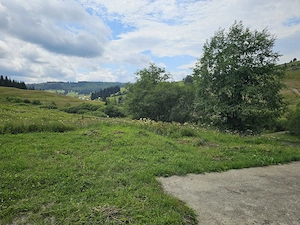Casă si teren de vanzare in Bucovina Breaza zona Pârâul Negrei - imagine 5