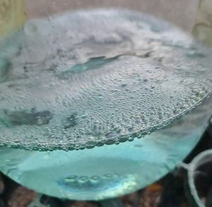 Palinca de cirese 53  grade