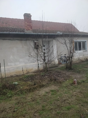 vind casa la sat BODO. com BALINȚ  - imagine 4