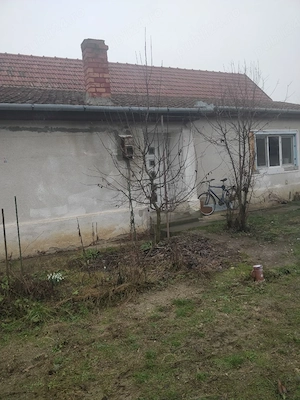 vind casa la sat BODO. com BALINȚ  - imagine 3