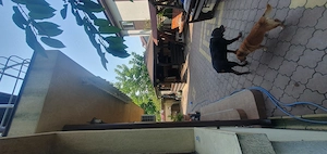 Casa de vanzare