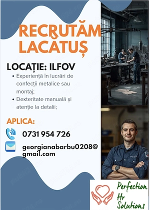 Lacatus mecanic - Dragomiresti Vale 5000-6500