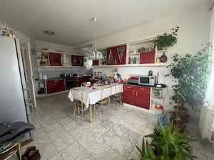 Vila moderna ,locatie excelenta ,10 km de Arad acces din DN7,zona turistica , Muresul la 600 m. - imagine 8