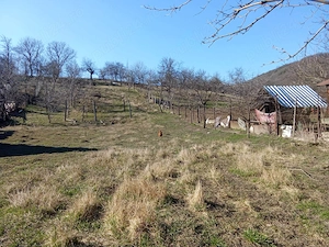 Casa de vanzare, loc Trei Sate, jud Mures - imagine 3