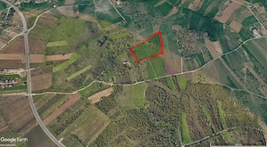 Teren extravilan    Episcopia, Oradea, județul Bihor - imagine 2
