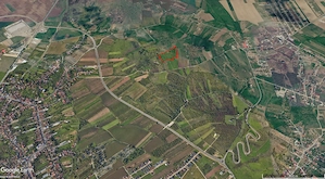 Teren extravilan    Episcopia, Oradea, județul Bihor - imagine 3