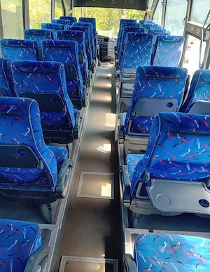 Scaune de autobuz in stare excelentă - imagine 2