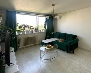 Apartament 2 camere,  Emil Racovita, Grand Arena. - imagine 3