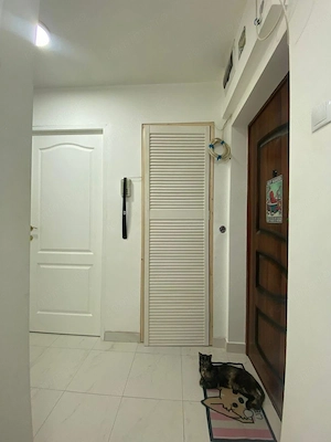 Apartament 2 camere,  Emil Racovita, Grand Arena. - imagine 14