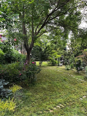 Casa de vanzare in Tamasi, Corbeanca - imagine 5