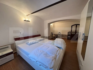 Apartament cu 3 camere, 120 mp, zona Iosefin - imagine 4