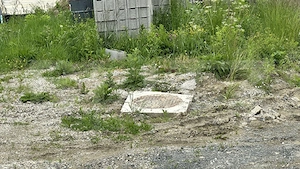 Casa la gri 159 mp, teren 16.418 mp, zona Dumbrăvița-Hunedoara  - imagine 13