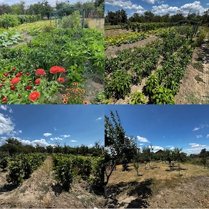Casă de vânzare în Dedovița Nouă - imagine 4