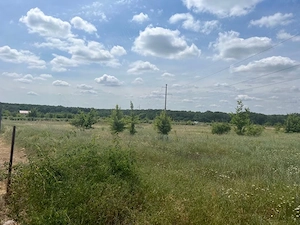 Teren de vanzare in Branesti Ilfov 1036 mp direct proprietar - imagine 4