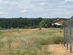 Teren de vanzare in Branesti Ilfov 1036 mp direct proprietar - imagine 6