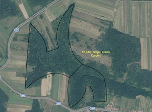  Oportunitate de investiție: Pădure de vânzare Jud. Arad - imagine 7