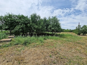 3758 mp, Intravilan, Strada a V-a, Șag - imagine 5