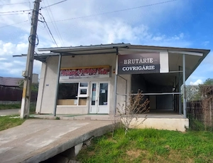 Spațiu comercial   producție 120 mp, teren 215 mp - Centru Faraoanele - Vânzare sau Închiriere - imagine 5