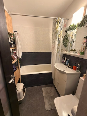 Apartament 2 camere Spitalul Floreasca, Dorobanti - imagine 3
