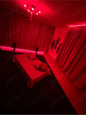 Apartament tematica regim hotelier  - imagine 3