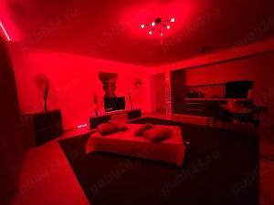 Apartament tematica regim hotelier  - imagine 4