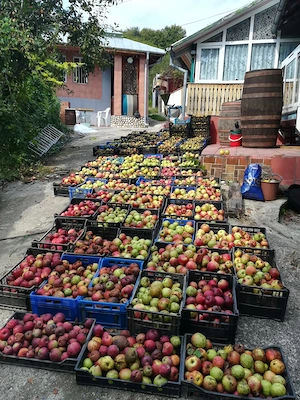 Case de vânzare +25.000mp-Calinesti Argeș,lângă Pitești și Topoloveni - imagine 10