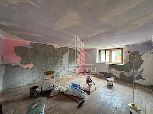 Casa de vanzare in Zimand Cuz - imagine 6
