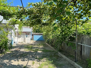 Casa Sat Scurta Bacău - imagine 10