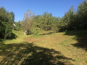De vanzare teren intravilan, 11000 mp, pret negociabil, aflat în Drajna de Sus - imagine 3