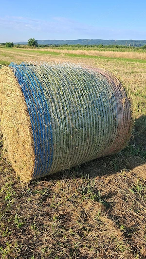 Baloti lucerna de vanzare 120 120cm 240-260 kg